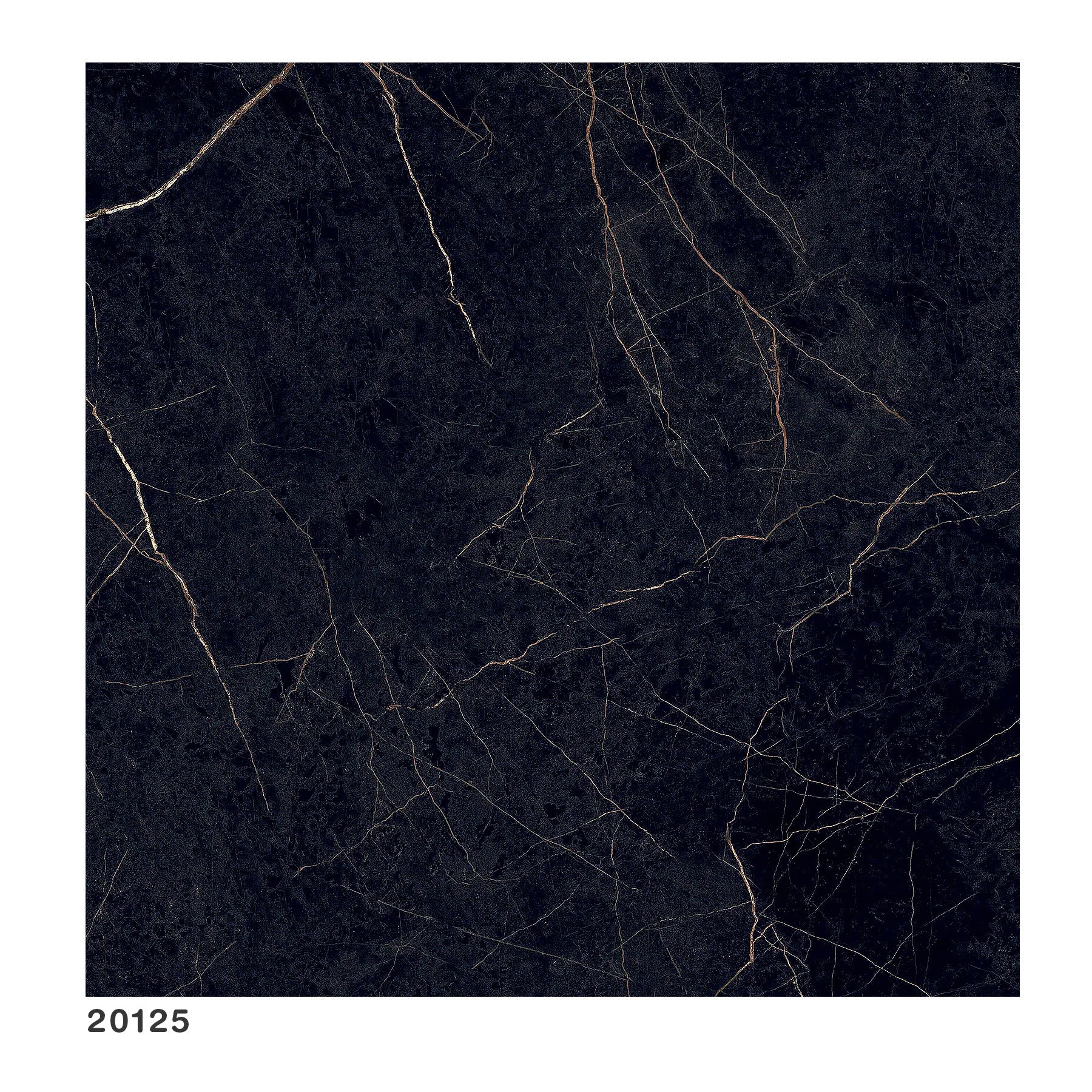 Porcelanato Pulido "A" 120X120 Black Supreme Ret