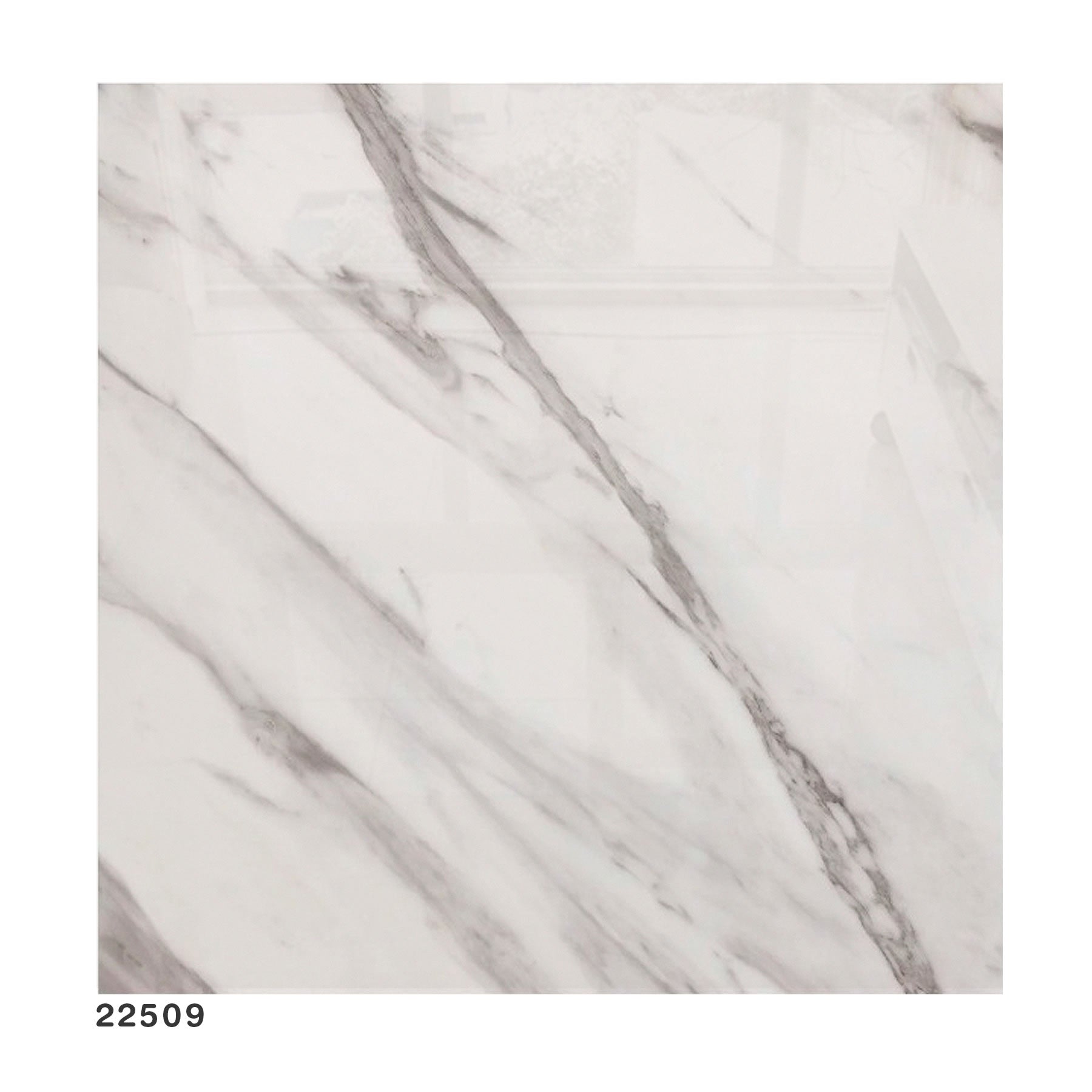 Porcelanato Polido "C" 60X60 Bianco Carrara Ret