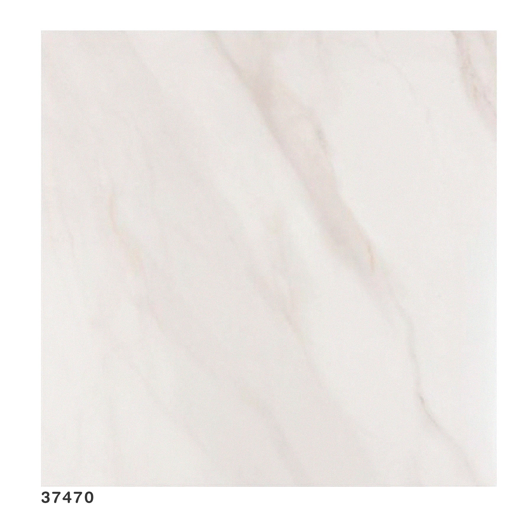 Porcelanato Polido "A" 120X120 Bianco Covelano T49004C5