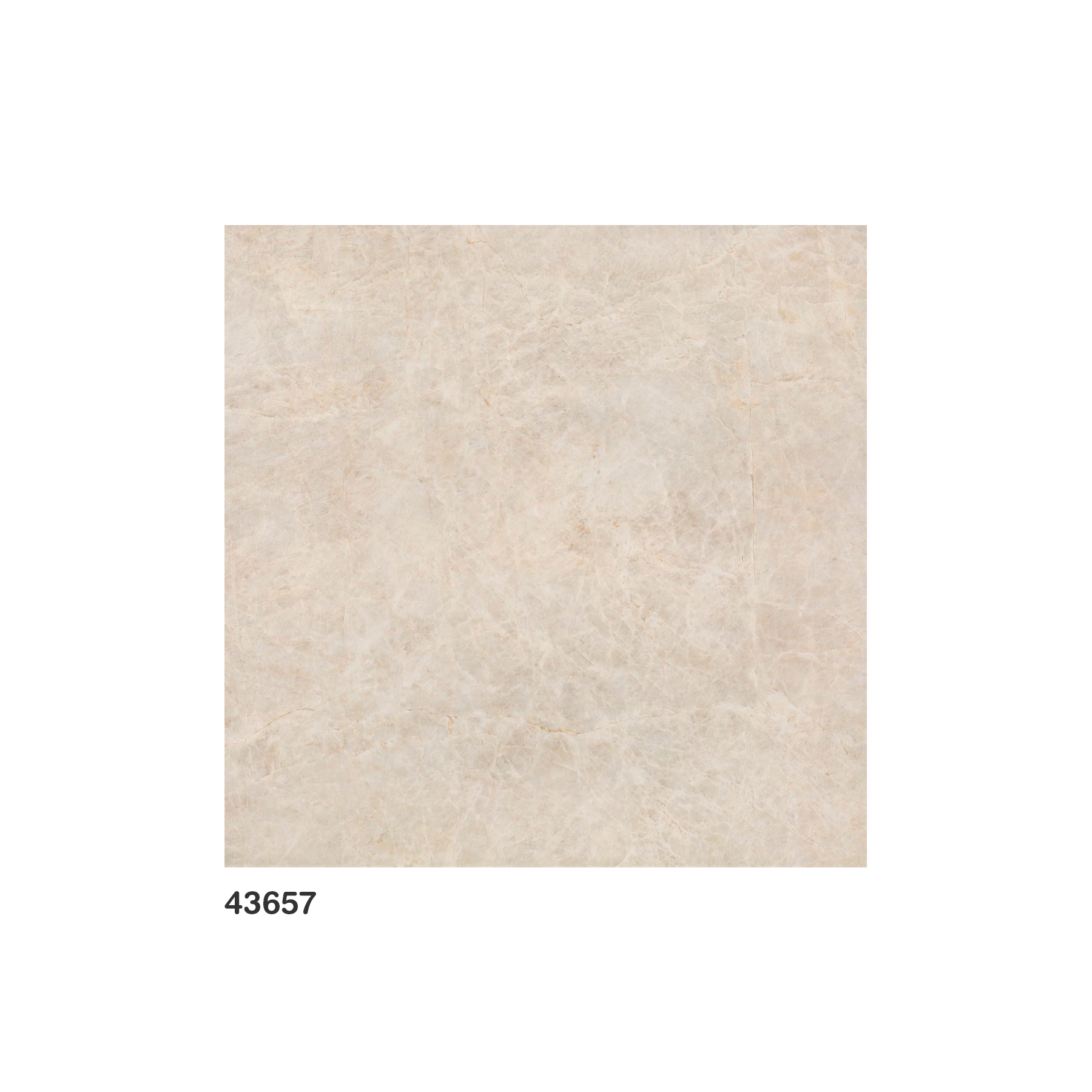 Porcelanato Natural "A" 120X120 Moonlight Sand Rectificado